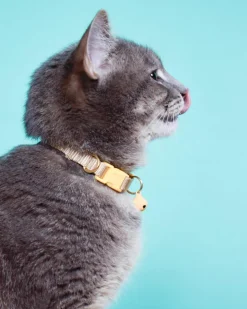 Nylon Breakaway Cat Collar w/ Bell (Made in the USA)
