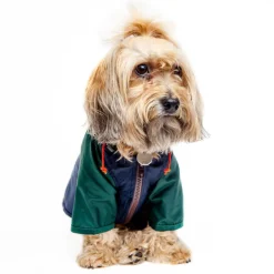Nylon Colorblock Dog Rainbreaker in Hunter Green & Navy (Exclusive to DOG & CO.)
