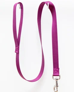 Nylon Dog Leash in Burgundy (4ft) (Made in the USA)