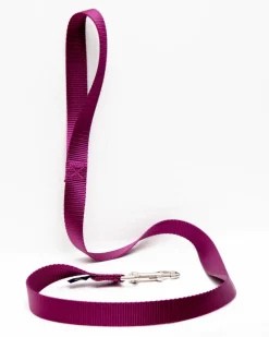 Nylon Dog Leash in Burgundy (4ft) (Made in the USA)