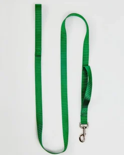 Nylon Dog Leash in Hunter Green (Made in the USA)