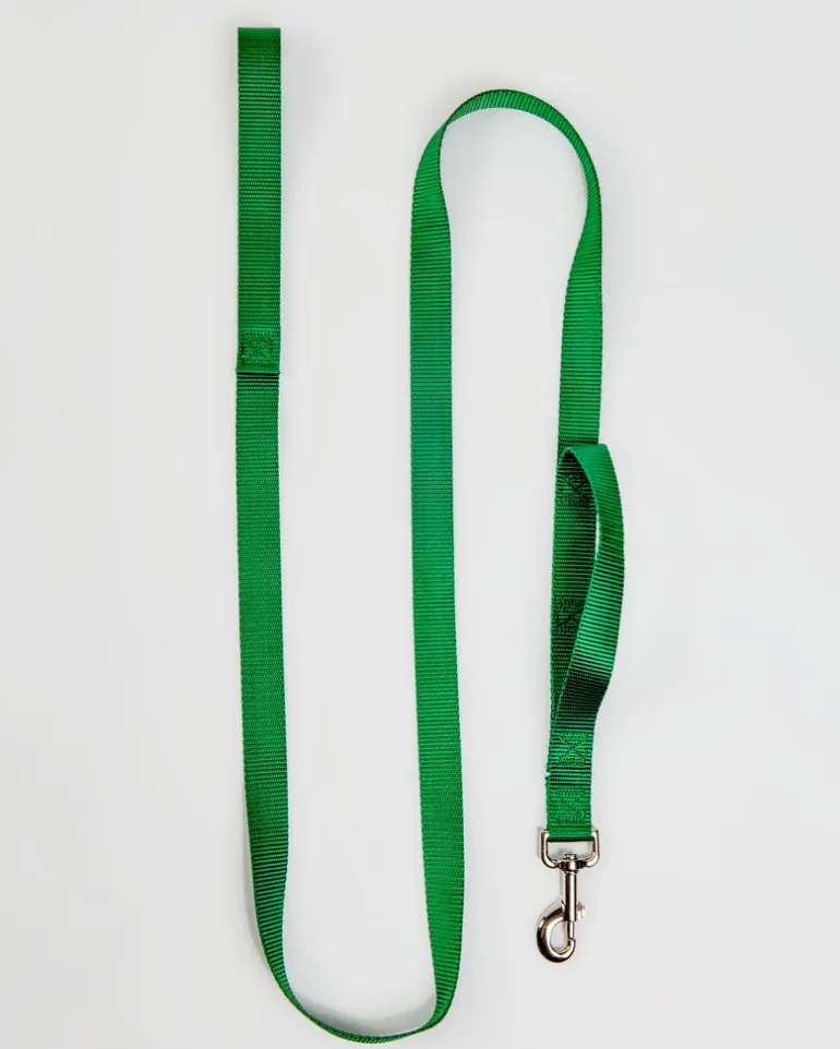 Nylon Dog Leash in Hunter Green (Made in the USA)