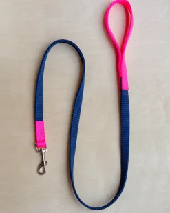 Nylon Dog Leash in Navy & Neon Pink (Made in the USA)