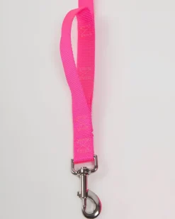 Nylon Dog Leash in Neon Pink (Made in the USA)
