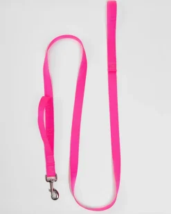 Nylon Dog Leash in Neon Pink (Made in the USA)