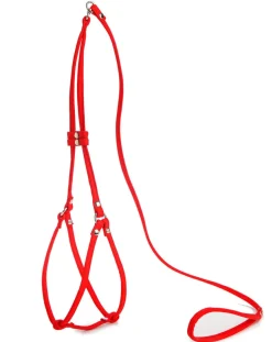 Nylon Step-In Adjustable Dog Harness in Red (Made in the USA)