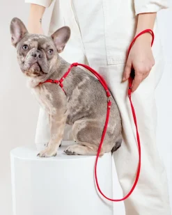 Nylon Step-In Adjustable Dog Harness in Red (Made in the USA)
