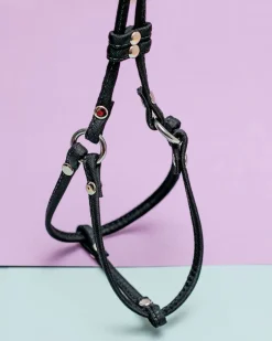 Nylon Step-In Adjustable Dog Harness in Black (Made in the USA)