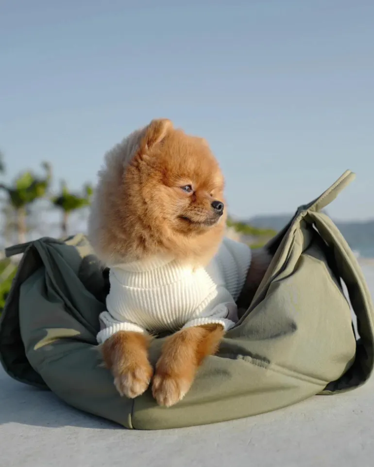 Olla Petite Pet Crossbody Bag