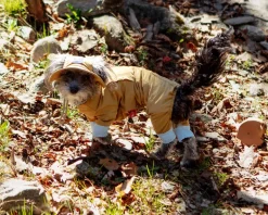 Outside+ Cooling Dog Jumpsuit