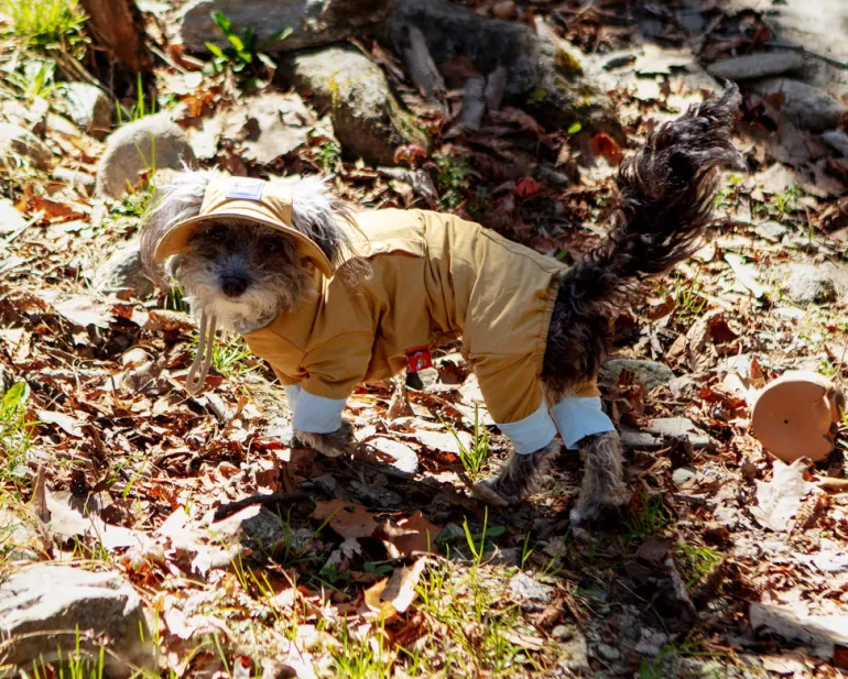 Outside+ Cooling Dog Jumpsuit
