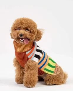 Patchwork Stripe Dog Sweater in Desert