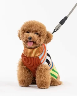 Patchwork Stripe Dog Sweater in Desert