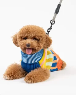 Patchwork Stripe Dog Sweater in Rainbow