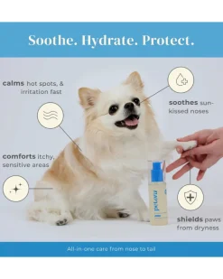Pawfect Comfort Nose-to-Tail Soothing Jelly Serum for Dogs & Cats