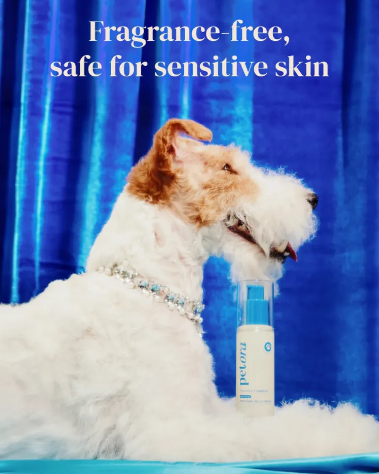 Pawfect Comfort Nose-to-Tail Soothing Jelly Serum for Dogs & Cats