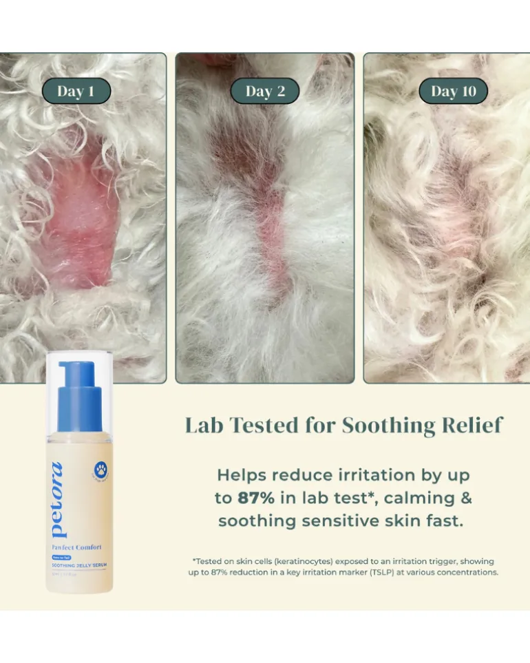Pawfect Comfort Nose-to-Tail Soothing Jelly Serum for Dogs & Cats