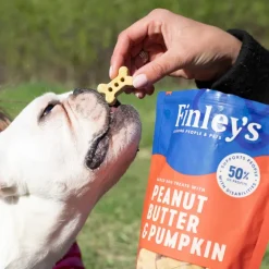 Peanut Butter & Pumpkin Crunchy Dog Biscuits