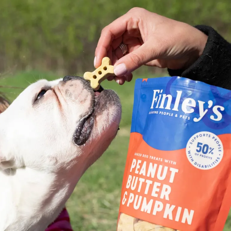 Peanut Butter & Pumpkin Crunchy Dog Biscuits