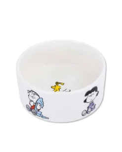Peanuts Classic Dog Bowl