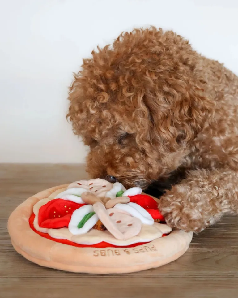 Pepperoni Pizza Nosework Dog Toy