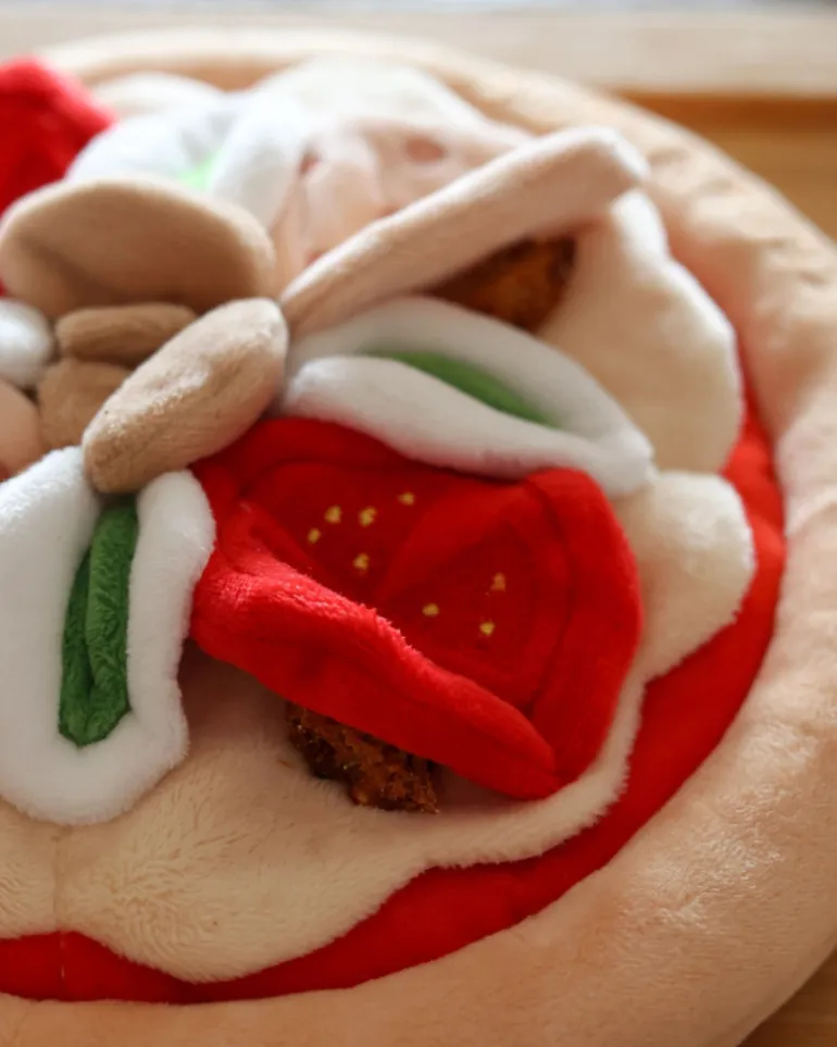 Pepperoni Pizza Nosework Dog Toy