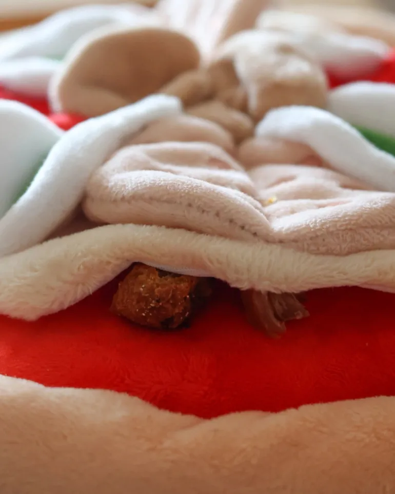 Pepperoni Pizza Nosework Dog Toy