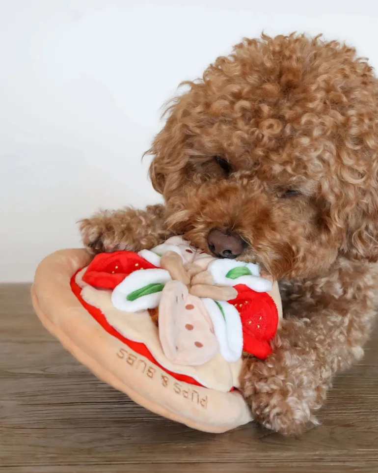 Pepperoni Pizza Nosework Dog Toy