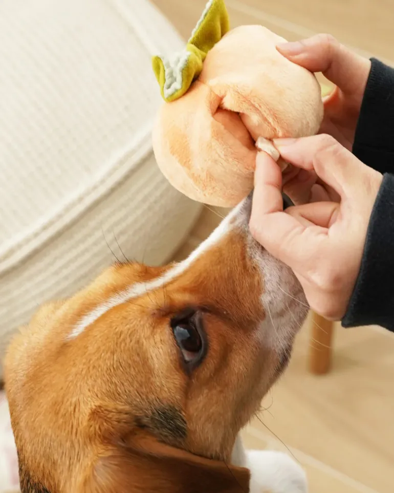 Persimmon Snuffle Squeaky Plush Toy for Dogs