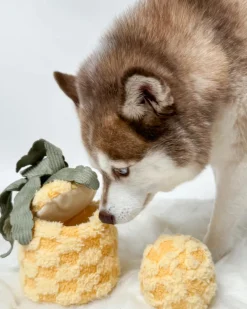 Pineapple Enrichment Plush Dog Toy