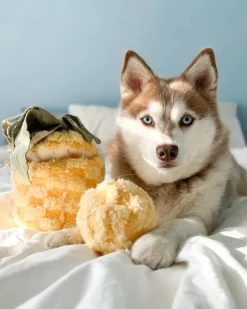 Pineapple Enrichment Plush Dog Toy