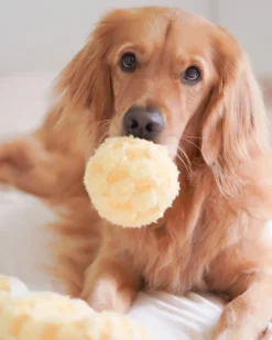 Pineapple Enrichment Plush Dog Toy