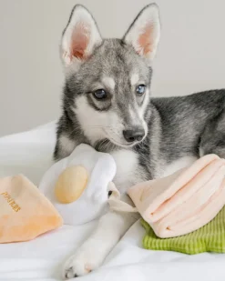 Pita Pocket Nosework Dog Toy