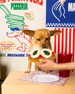 Pizza Nosework Toy for Dogs