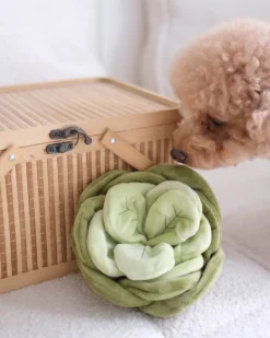 Plush Cabbage Snuffle Dog Toy
