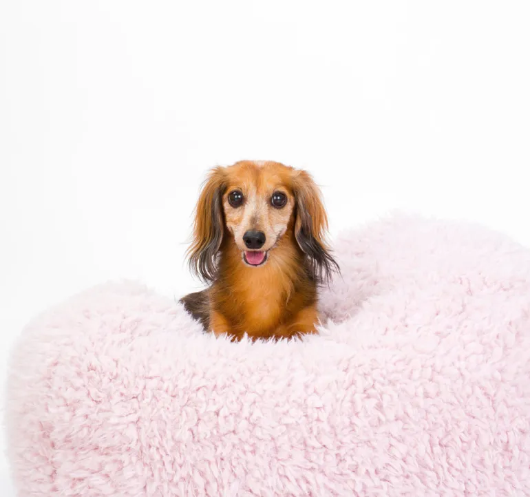 Pod Bed in Blush (Custom/Drop-Ship)