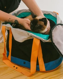 POLO Pet Carrier Bag