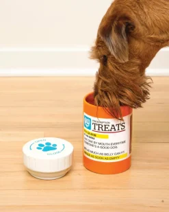 *Prescription* Dog Treat Jar