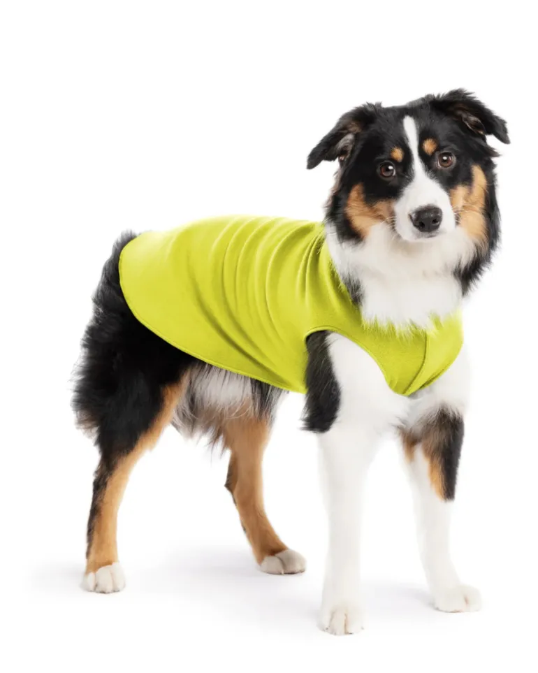 Pullover Stretch Dog Fleece in Avocado