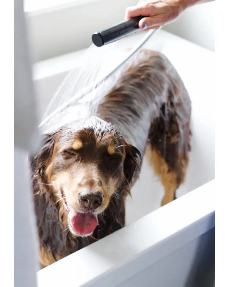 Purifying Conditioner for Dogs & Cats in Lavender + Chamomile