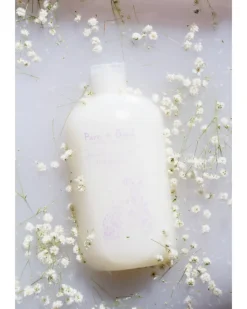 Purifying Shampoo for Dogs & Cats in Lavender & Chamomile