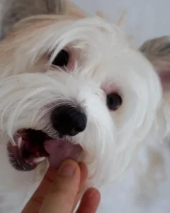 Purple Sweet Potato Dog Biscuit Treats