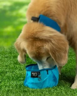 RadDog® Leakproof Collapsible Dog Bowl