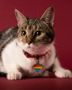 Rainbow Heart Custom Pet ID Tag