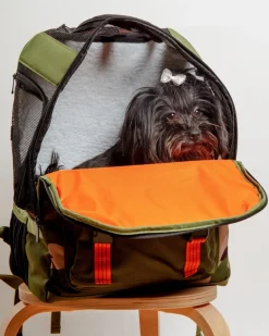 Ready-For-Adventure Pet Backpack (Airline Compliant)