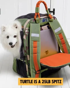 Ready-For-Adventure Pet Backpack (Airline Compliant)