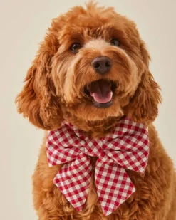 Red Gingham Lady Dog Bow