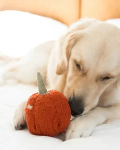 Red Pepper Enrichment Snuffle Dog Toy