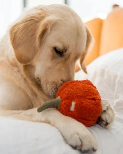 Red Pepper Enrichment Snuffle Dog Toy