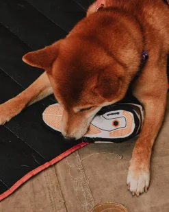 Reebok Pump Sneaker Plush Squeaky Dog Toy (FINAL SALE)